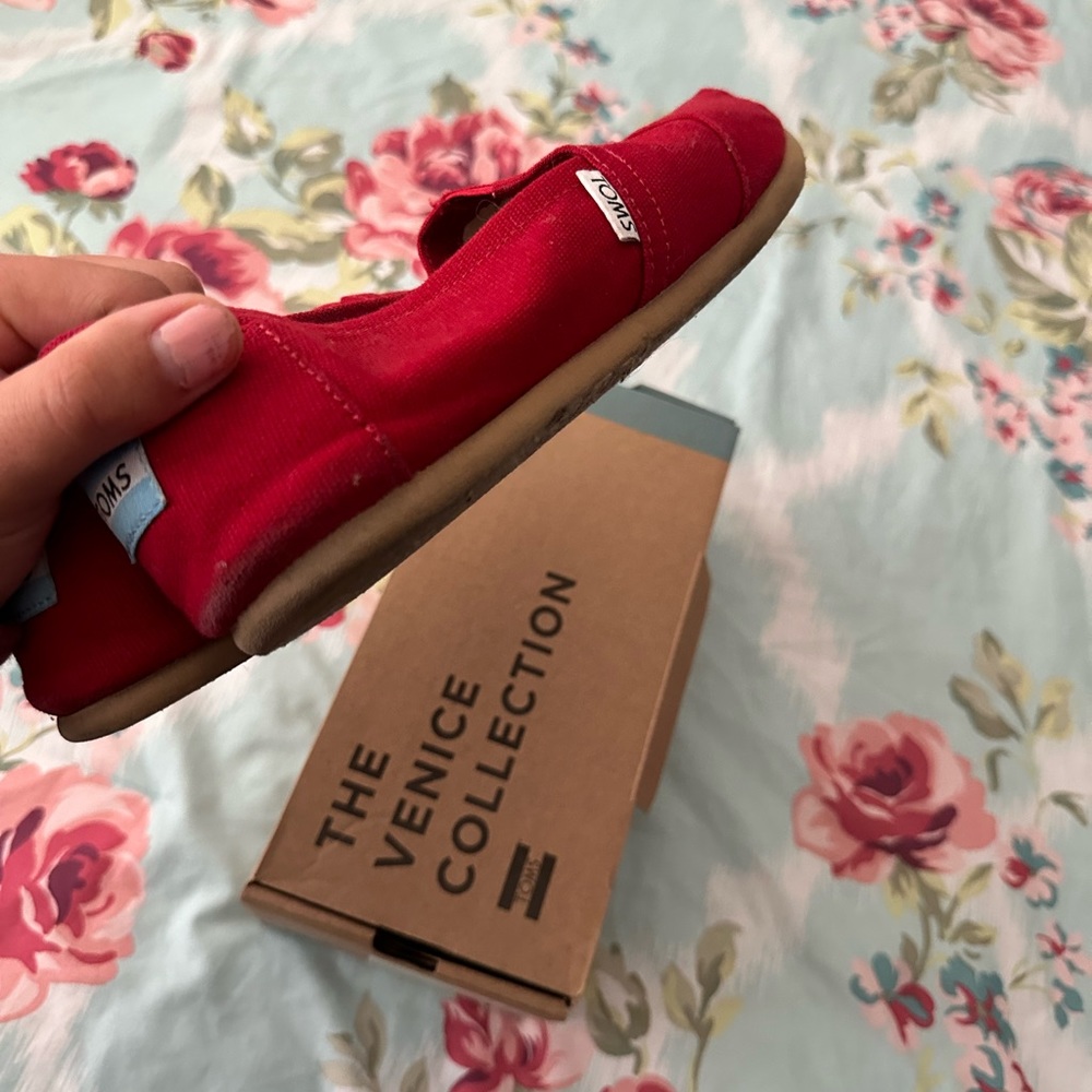 Red Toms - Picture 3 of 8
